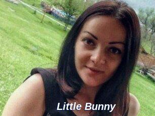 Little_Bunny_