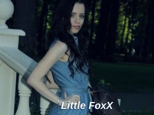 Little_FoxX