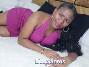 LizzSantos