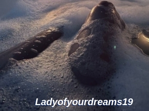 Ladyofyourdreams19
