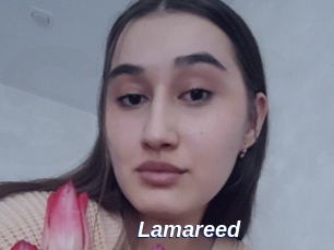 Lamareed