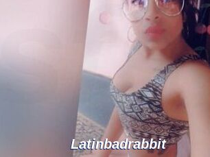 Latinbadrabbit