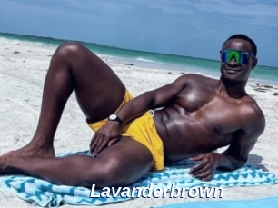 Lavanderbrown