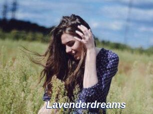Lavenderdreams