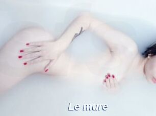 Le_mure