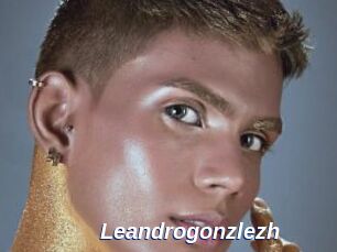 Leandrogonzlezh