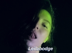 Leilabodge