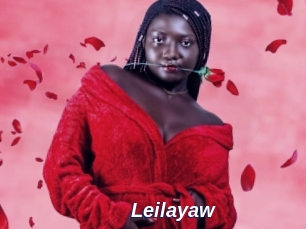 Leilayaw