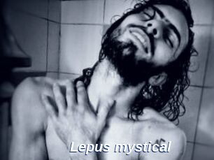 Lepus_mystical