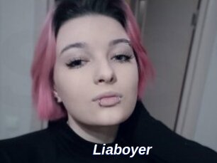 Liaboyer