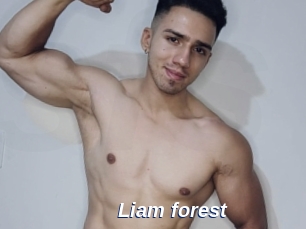 Liam_forest