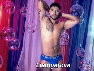 Liamgarciia