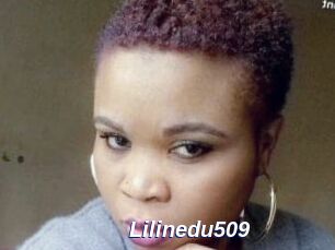 Lilinedu509