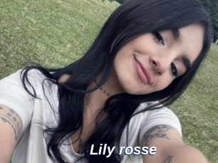 Lily_rosse