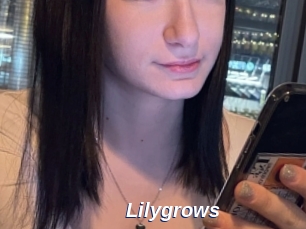 Lilygrows