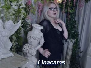 Linacams