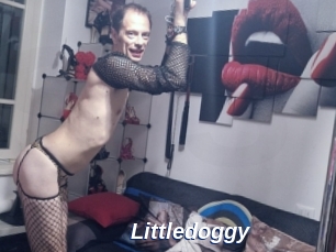 Littledoggy