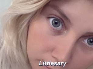 littlesary Safer Sex