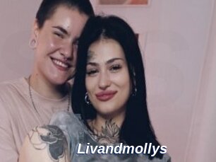 Livandmollys
