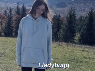 Lladybugg