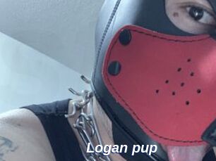 Logan_pup