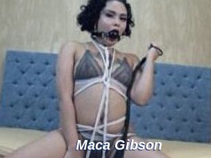 Maca_Gibson