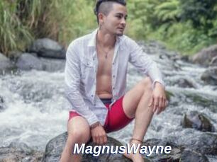 MagnusWayne