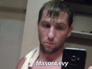 Mason_Levy
