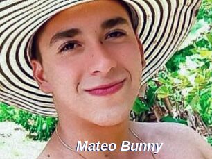 Mateo_Bunny