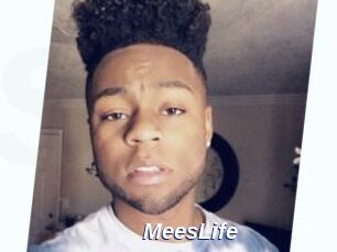 MeesLife