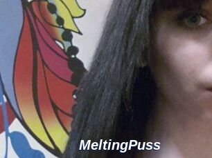 MeltingPuss