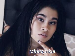 MiniMarkle
