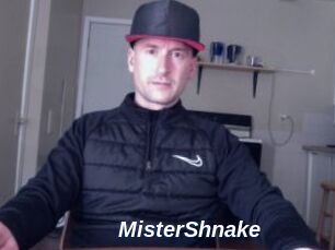 MisterShnake