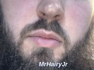 MrHairyJr