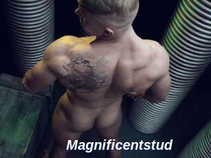 magnificentstud Safer Sex