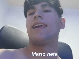 Mario_neta