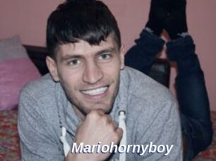 Mariohornyboy