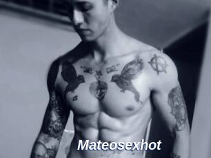 Mateosexhot