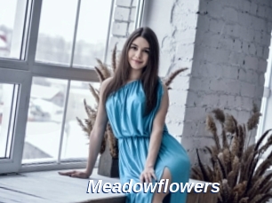 Meadowflowers