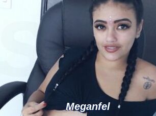Meganfel