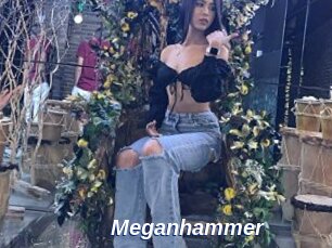 Meganhammer