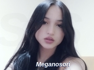 Meganosori