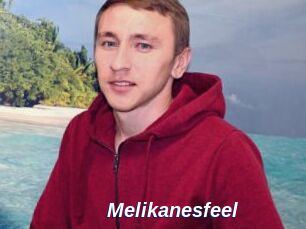 Melikanesfeel