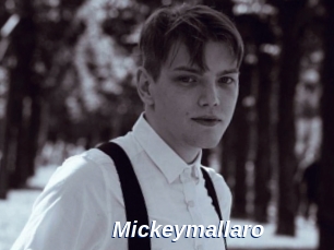 Mickeymallaro