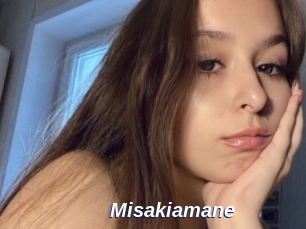 Misakiamane