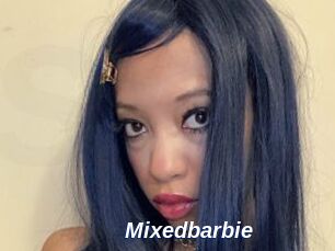 Mixedbarbie