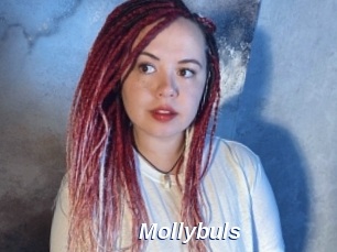 Mollybuls
