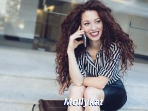 Mollykat