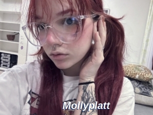 Mollyplatt