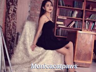 Monicacatpaws